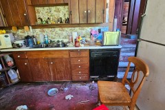 Woodside-Auction-46