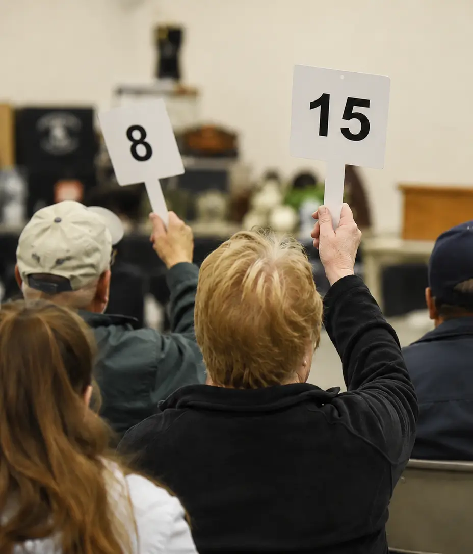 Auction